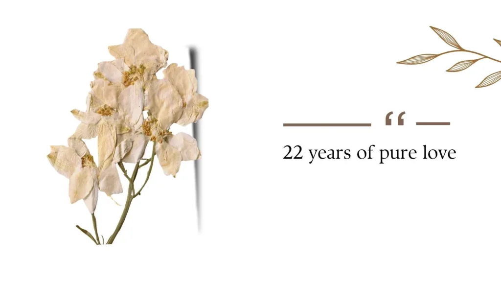 22nd Wedding Anniversary Quotes