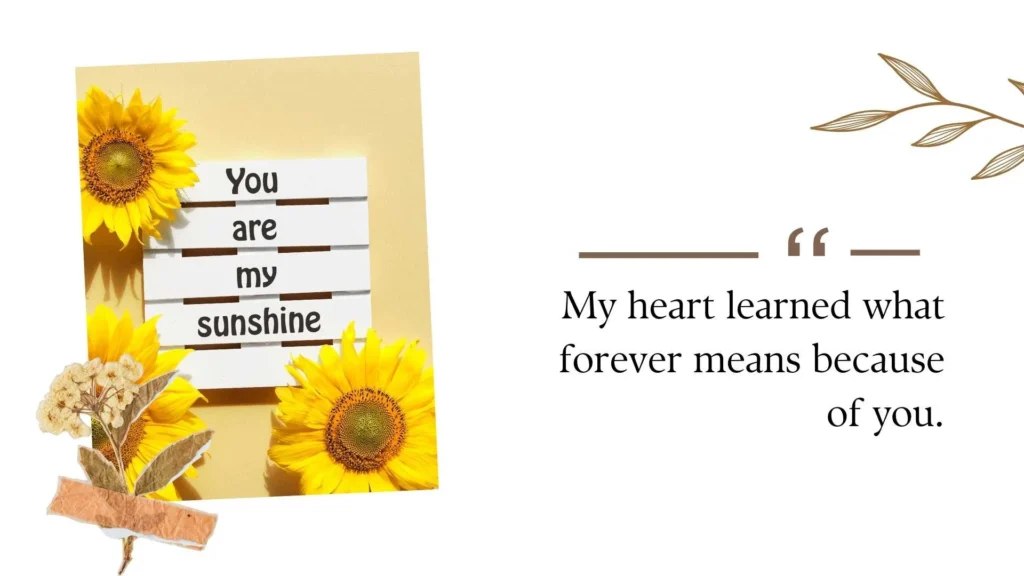 64th Wedding Anniversary Quotes