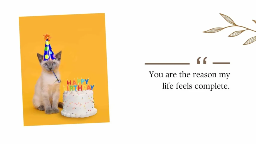 Funny Birthday Wishes