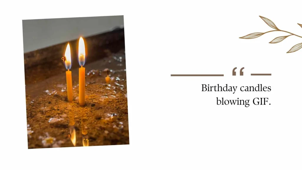 Happy Birthday Wishes